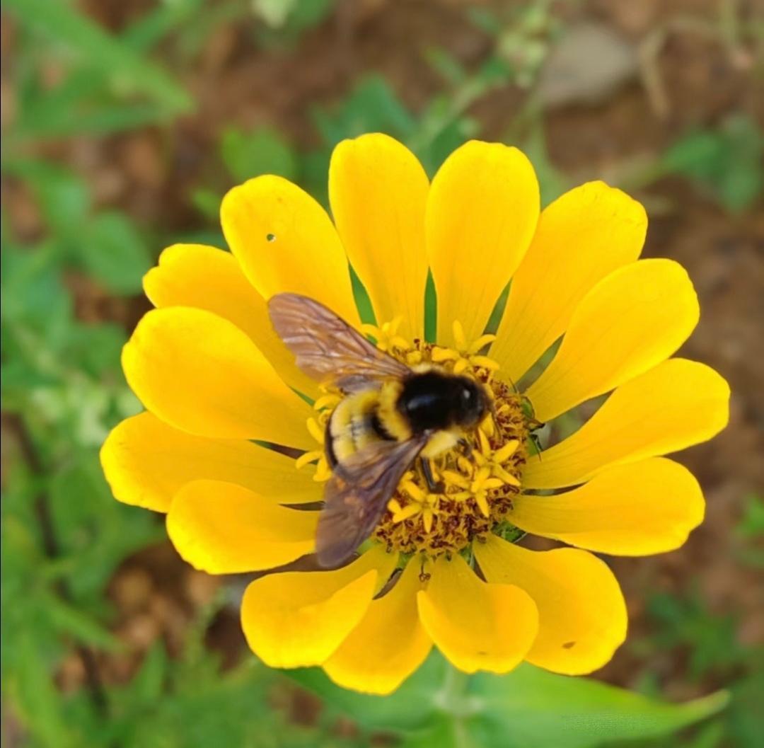 我家楼下有位女邻居，年轻时老公出轨，邻居，年轻时老公出轨，街坊都替她气得睡不着，