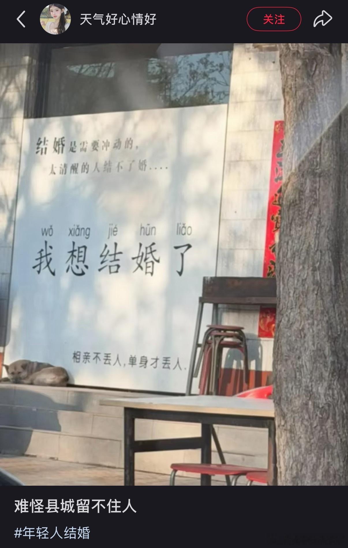 狗是精髓