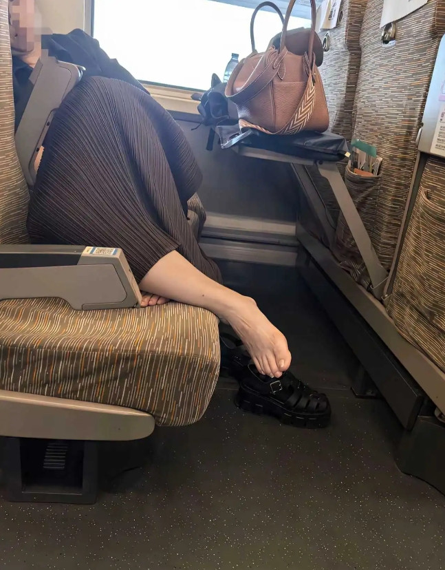在高铁上遇到这样的行为你会怎么办？