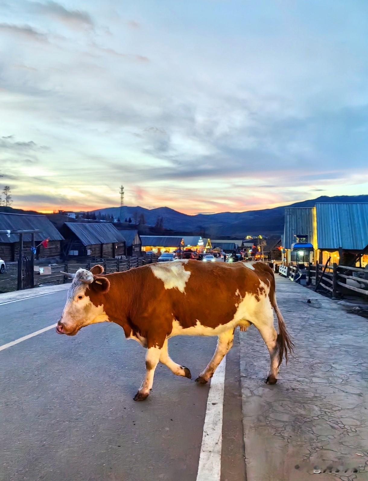 去旅游，我从来没有做过攻略，因为我有秘密武器，那就是我的老公。而我老公做旅游攻略