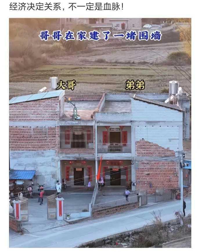 经济决定关系，不一定是血脉