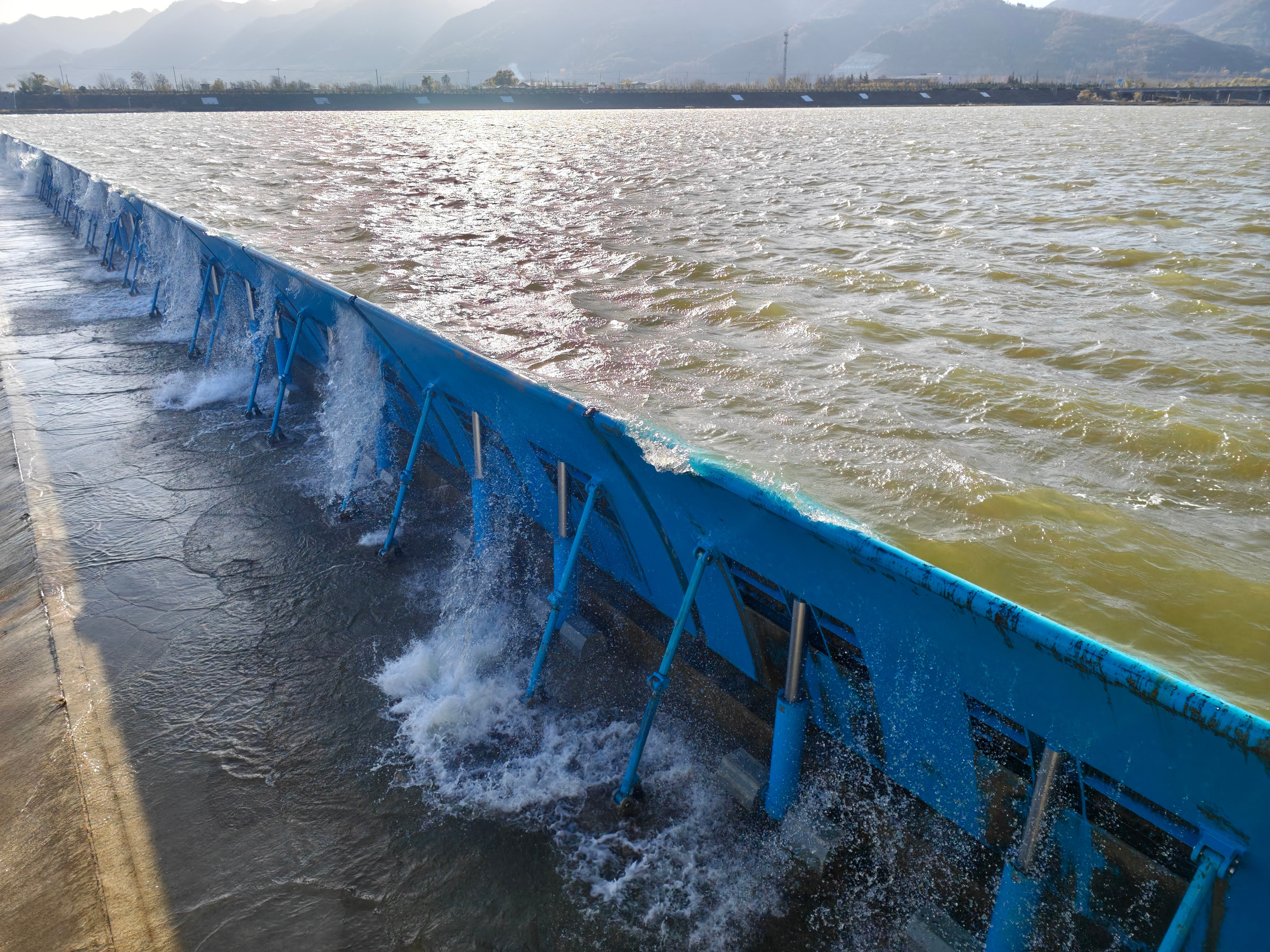 降价直呼良心，缺货赞叹牛币。