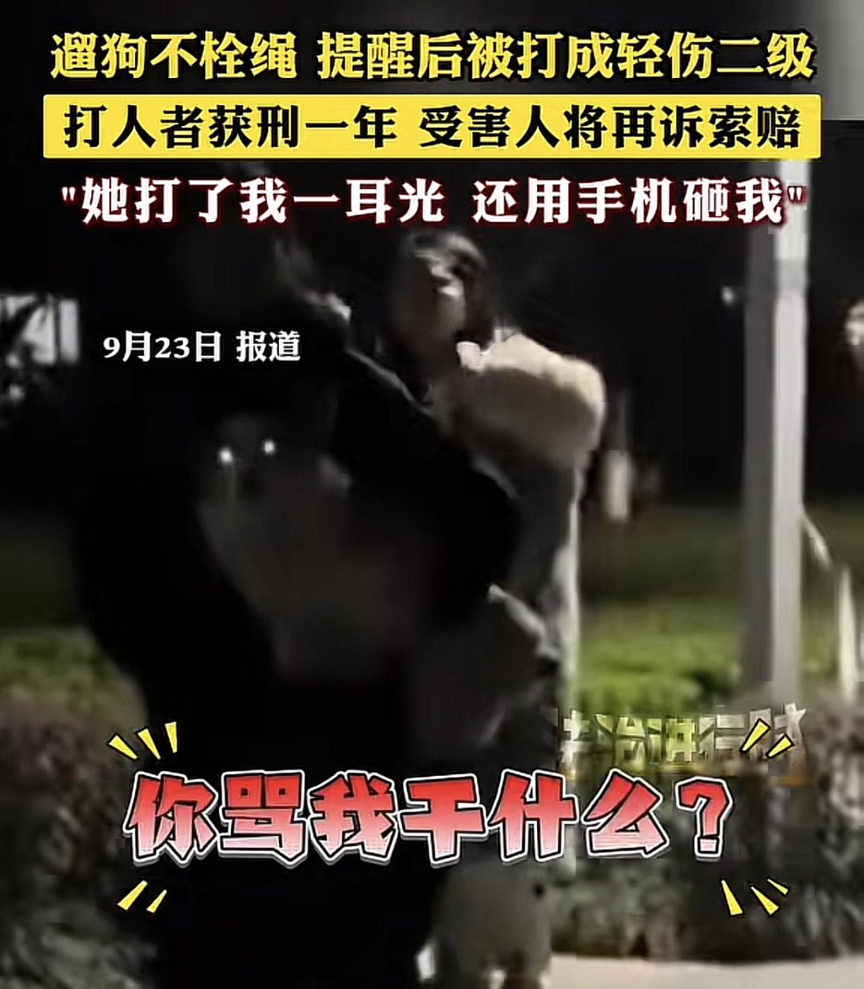 “真是大快人心！”重庆一小哥只是正常的出门散步，结果两只没有牵绳的狗突然路边窜出