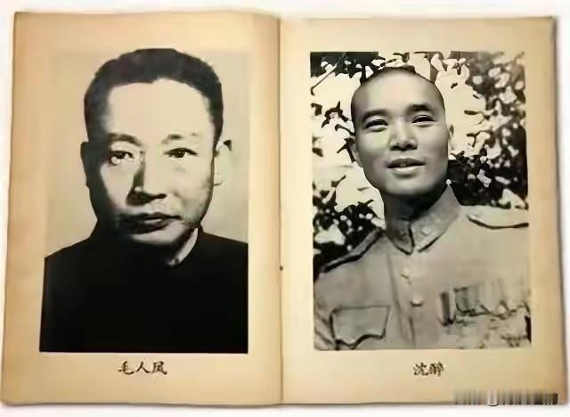 1950年，吴石将军牺牲，而罪魁祸首之一的毛人凤，本该“大功一件”，却落得个众叛
