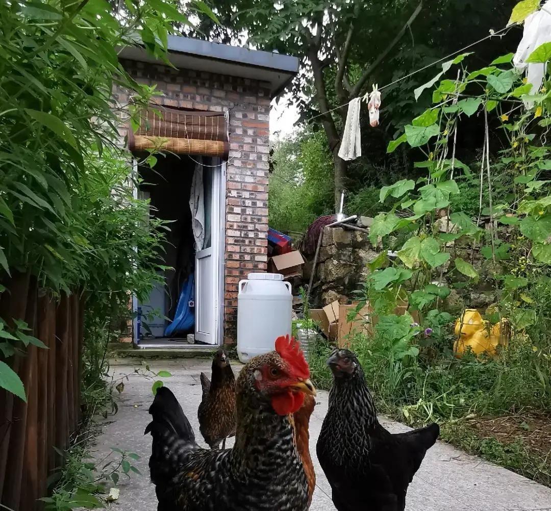 昨晚表弟拎着两条软中华来敲门，非要把烟往我抽屉里硬塞，求我给他做个二十万的贷款担