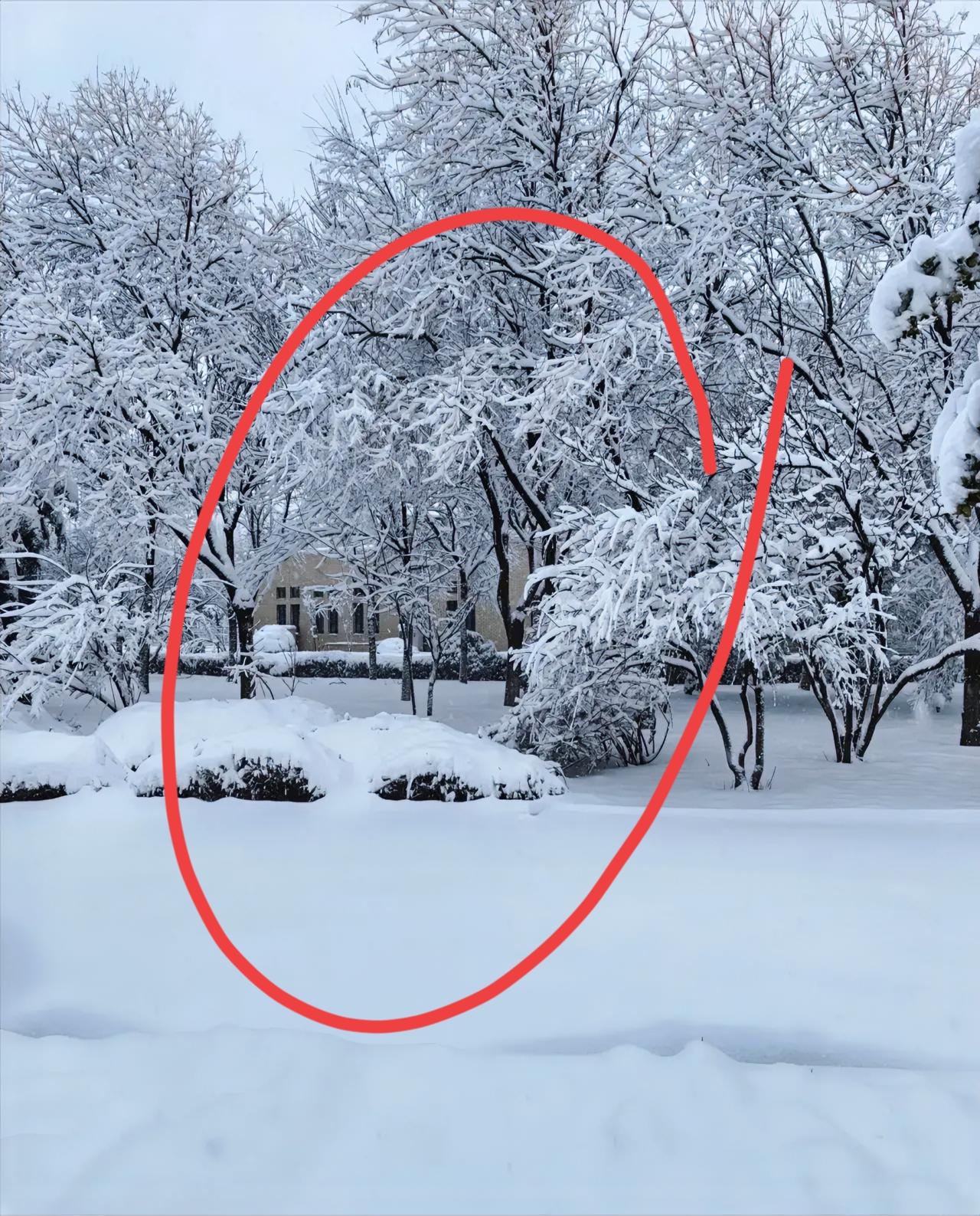 冻雨来袭，路滑得站不住脚，家里突然停了电。南方多地这天气真够呛，2026年开年