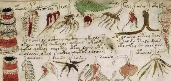 1912年，意大利商人伏尼契收购一家旧书店时，发现一本“奇怪的手稿”，一共260