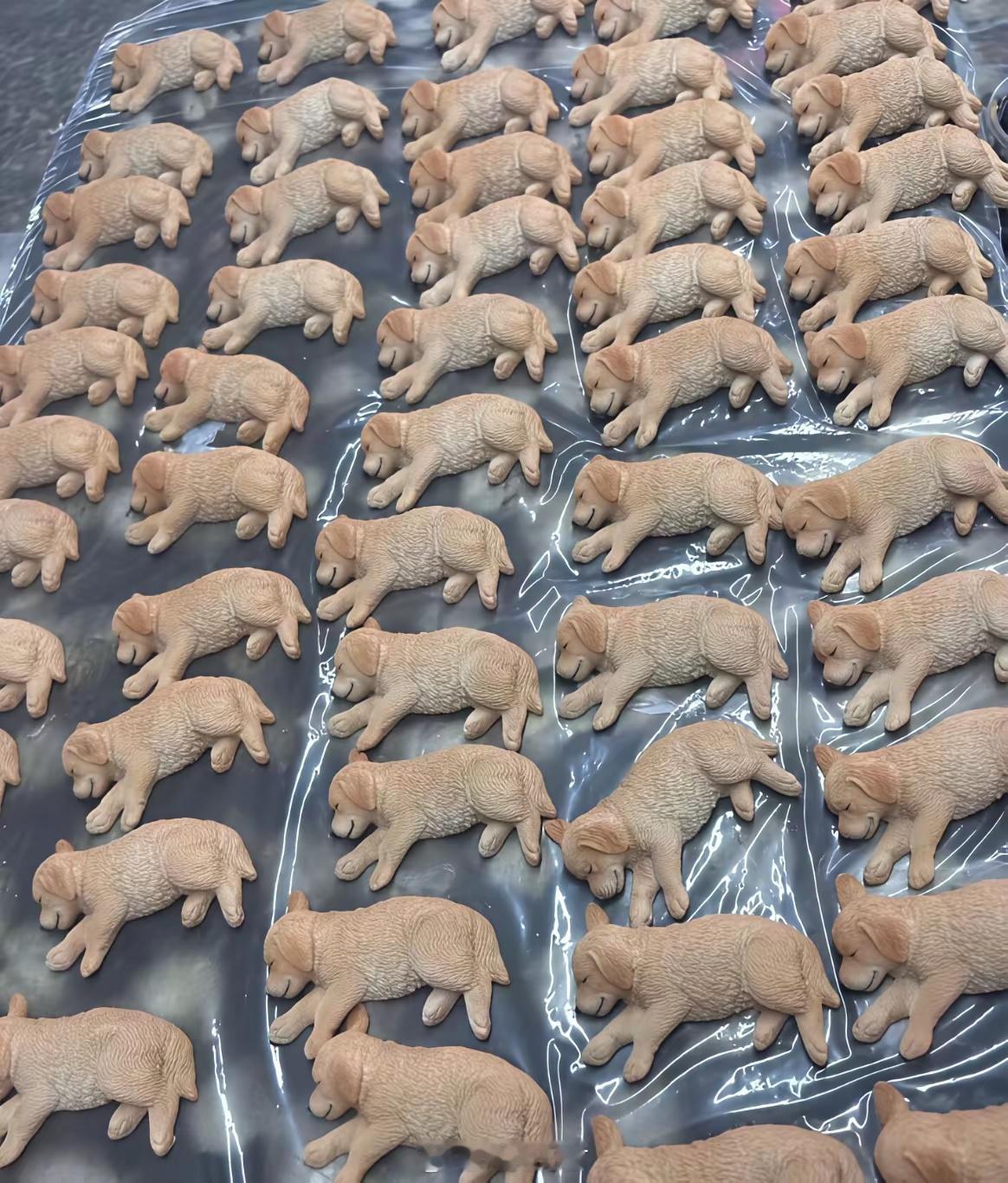 终于知道唐僧为什么不敢吃人参果了，这狗参饺看着也下不去嘴呀