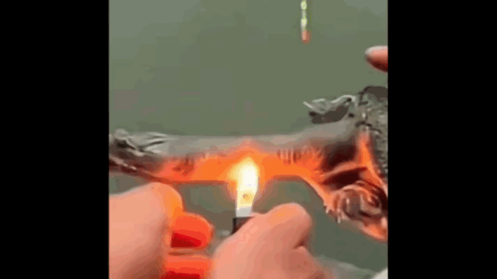 不小心被甲鱼咬到手指后，该用哪种方法才可以让甲鱼快速松口呢？看到这位大哥在钓