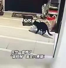 9月10日上午，一位年轻女孩匆忙跑进宁波某派出所报案，称自己放在楼道里的运动鞋不