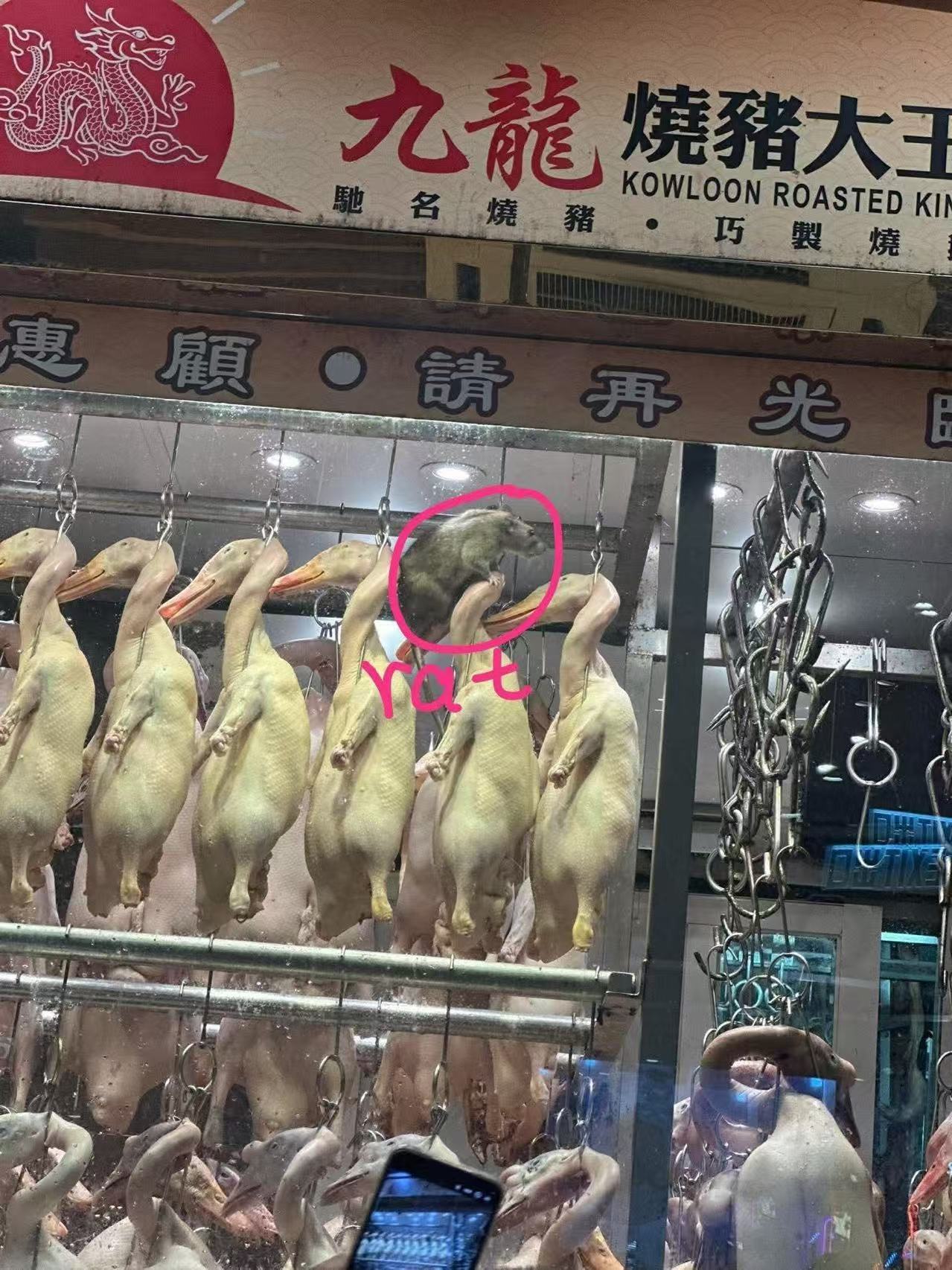 小伙伴说这是“大妈最爱鸭脖鼠头”​​​