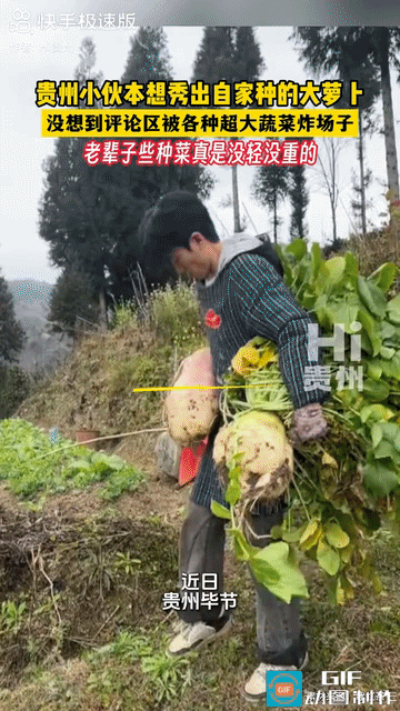 农业也这么卷了？贵州毕节一名小伙本来只是想低调晒晒自家的萝卜，没成想一石激起千层