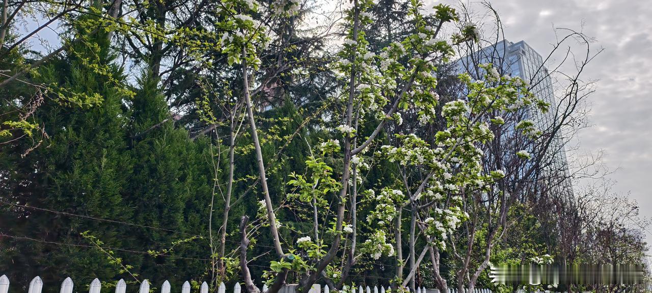 领导连续一周不说话，整个部门都慌了，只有我没动前公司有个部门总监，平时挺开