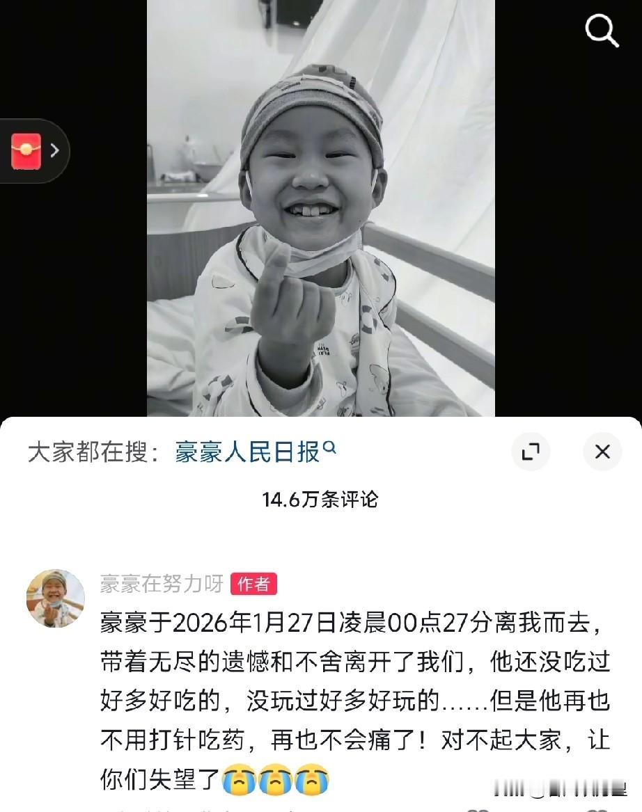 其实，10岁的豪豪对于自己的离世他是早就有预感的，他甚至连自己的后事都安排的特别