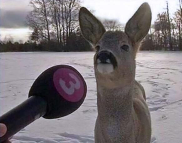 海贼王海贼王真正的海贼王真人版哈哈哈哈哈一模一样