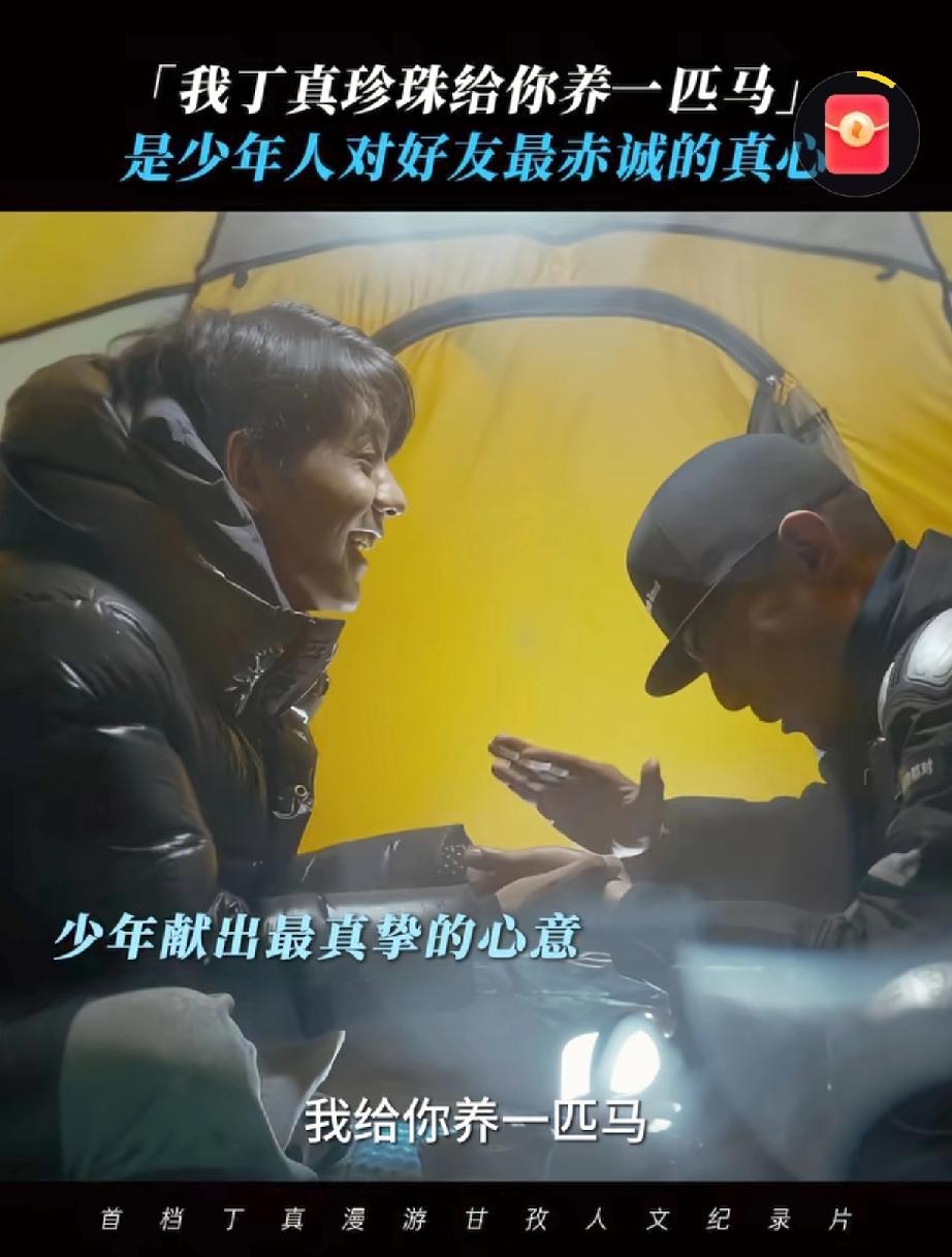看来丁真是真的很喜欢大冰，他对大冰说:“我要给你养一匹马。”这句话的含金量有