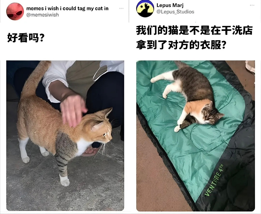 虽然小咪交换了无关紧要的两件衣服，但是基米届却来了两个黑帮大佬meme