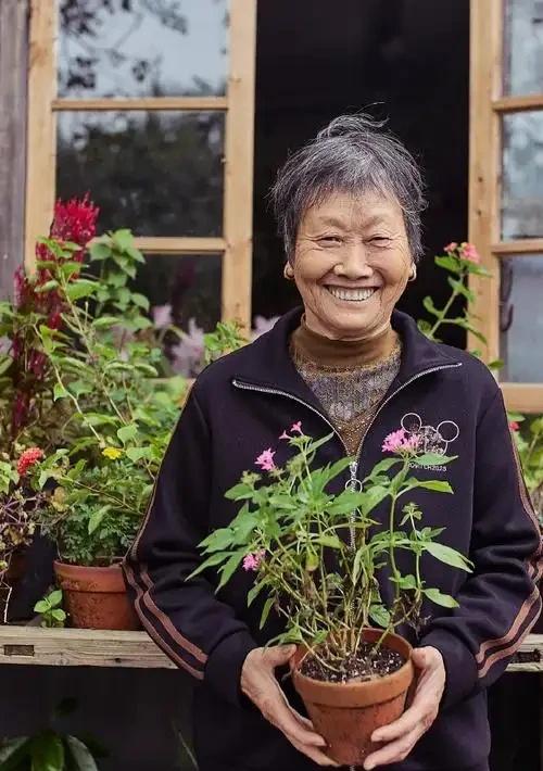 没人送终的痛，打醒多少独身人上海独居老人遗产归民政邓女士遗产案独居养老人