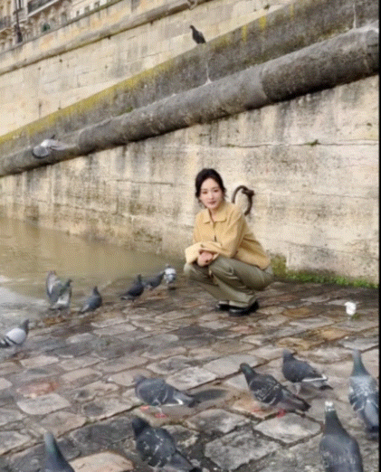 杨幂这张美照原来是被鸽子吓到拍出来的？？​神图有了杨幂好萌​​​