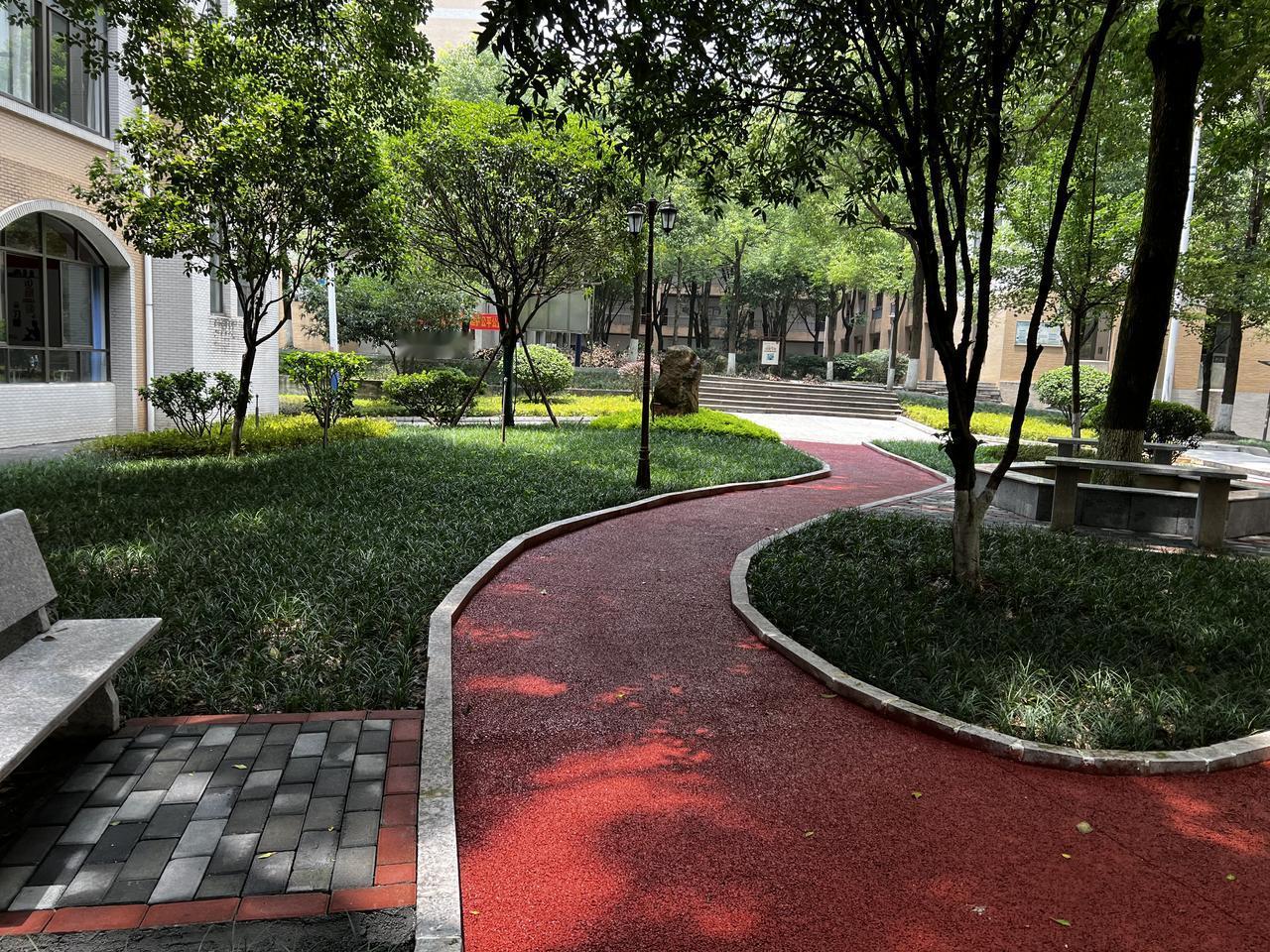 这里虽然温度比较高，但是说实在的环境空气确实好，树叶上没有一粒尘土，地上也是干干