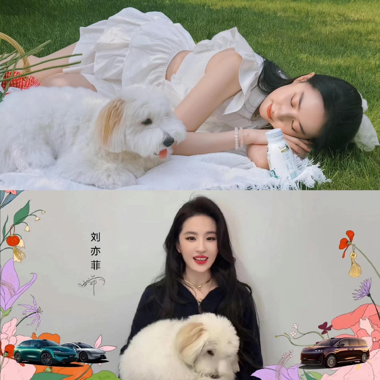 时尚圈里，金九刊代表一年最高规格，广告资源、制作团队全部顶配，是衡量女星时尚地位