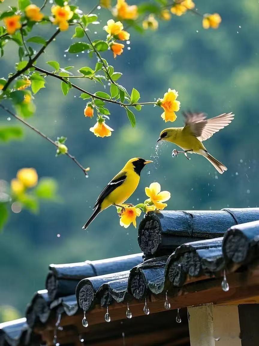 下联：清晨闻鸟语。