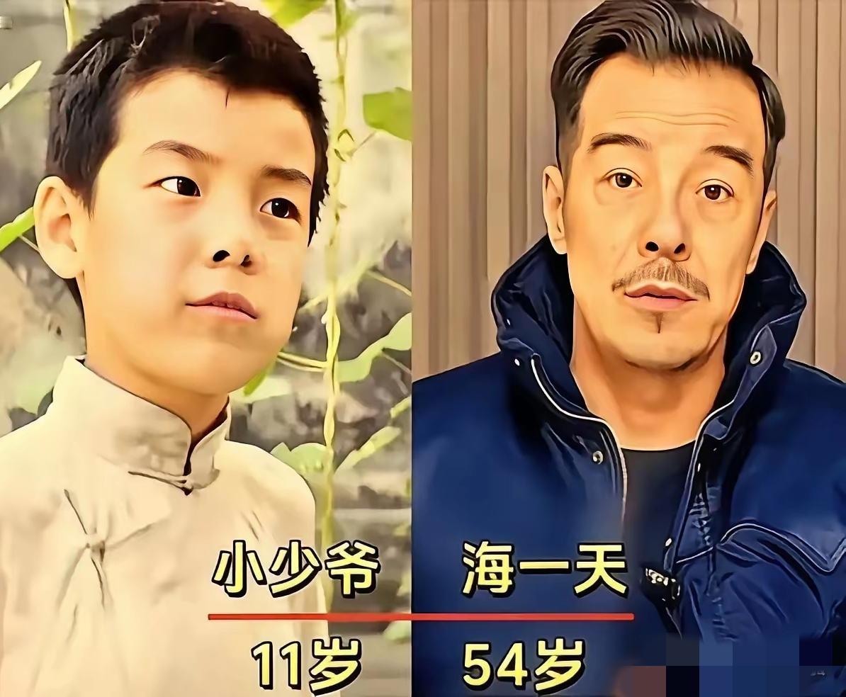 重温老经典才发现，真的被惊喜到！原来老牌实力派海一天，居然是正宗童星出身！