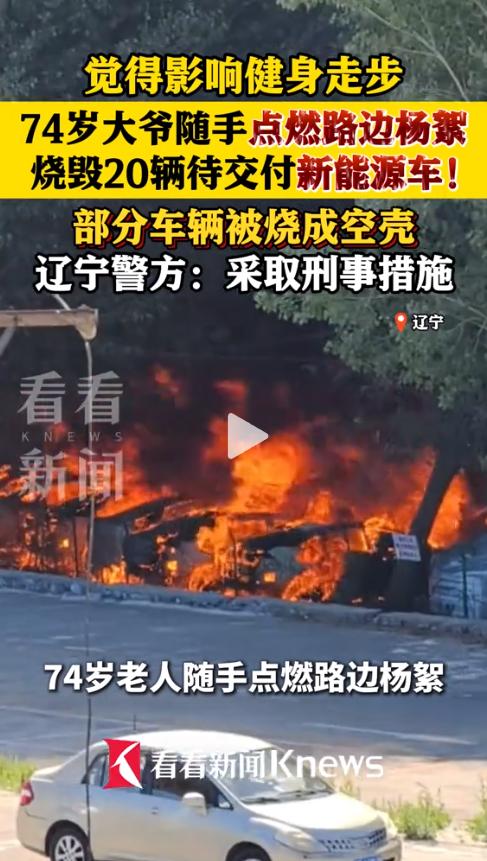 “我就烧个杨絮，至于抓我？”近日，辽宁大连。据警方通报，一名74岁大爷嫌路边杨絮