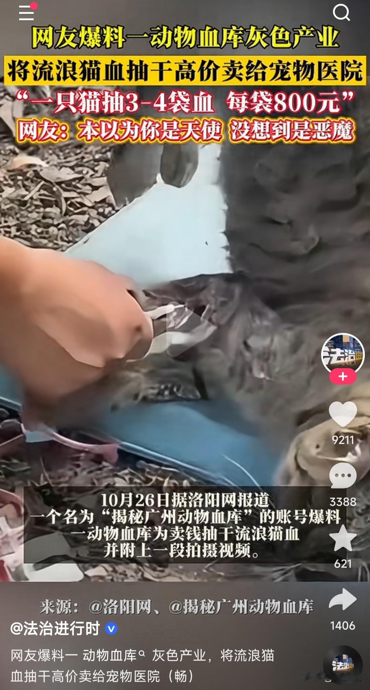 我说咋很少见到流浪猫流浪狗了,原来不是被捉走吃肉就是被抽干血卖血了?据网友爆料一