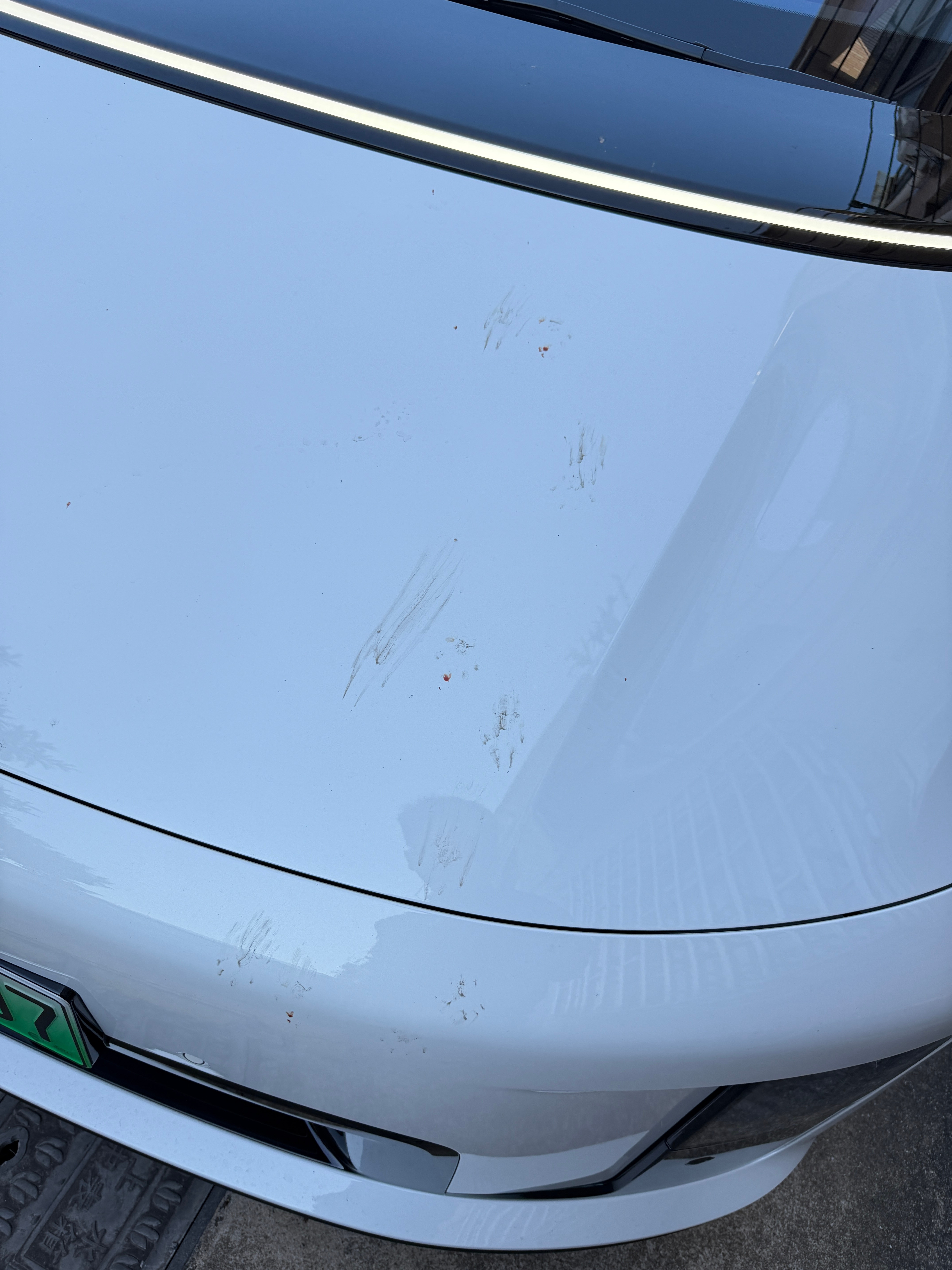 不知道这只猫经历了什么…看着应该蛮激烈