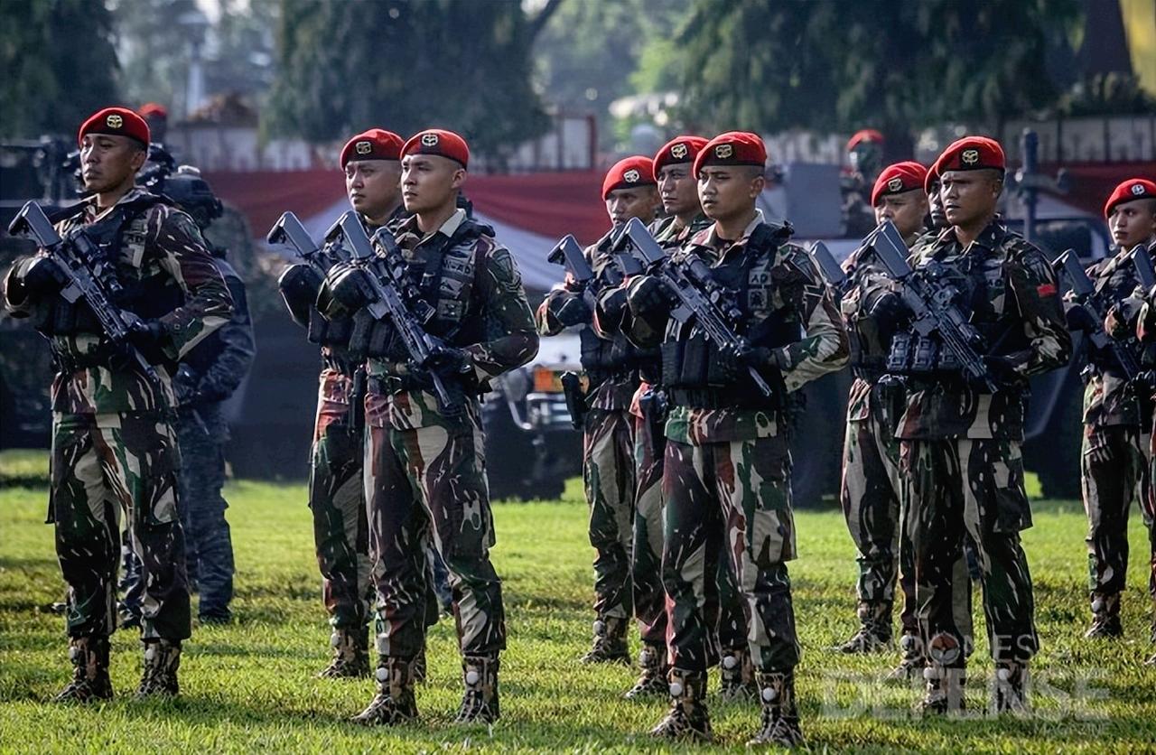 穆斯林第一大国要动真格了，印度尼西亚要往加沙派兵，最多能派8000人，要知道，这