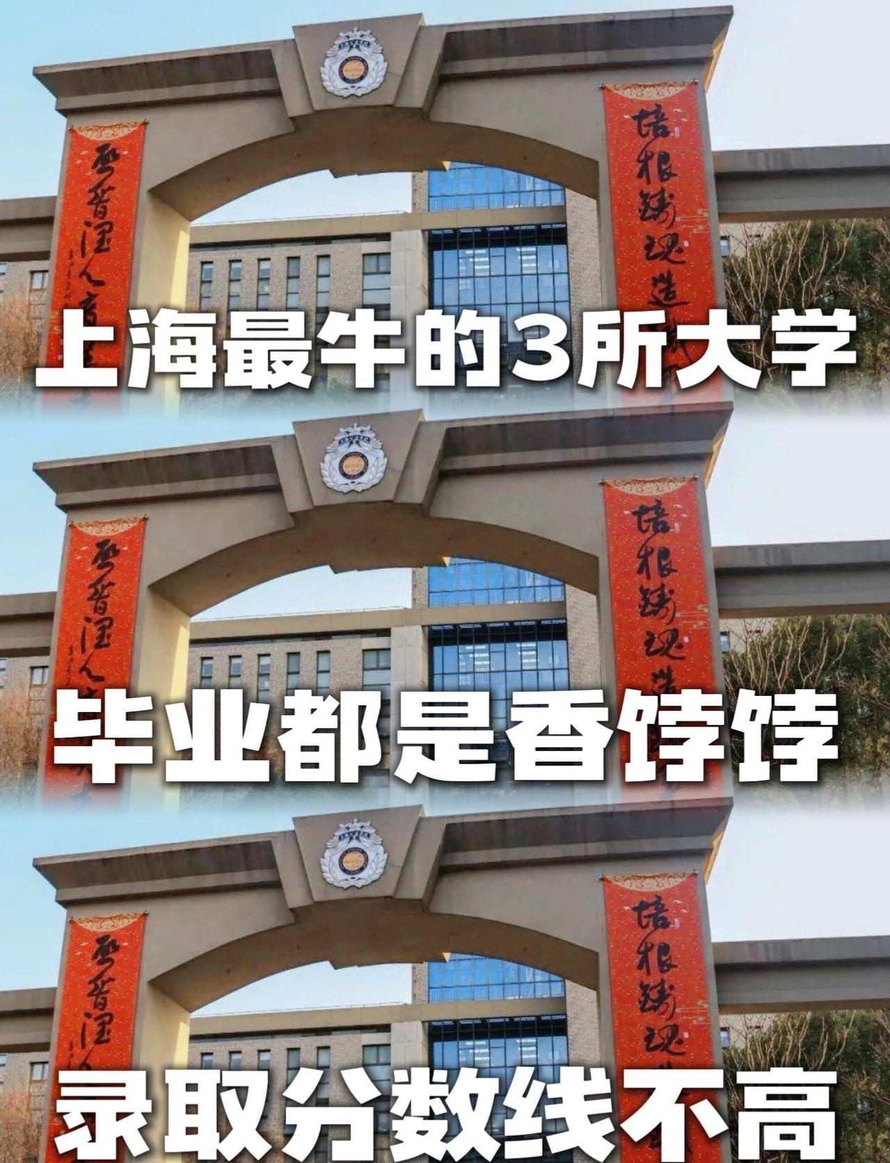 📢宝子们👋！提到上海的大学，是不是只想到复旦、交大？其实魔都还有三所超牛却低