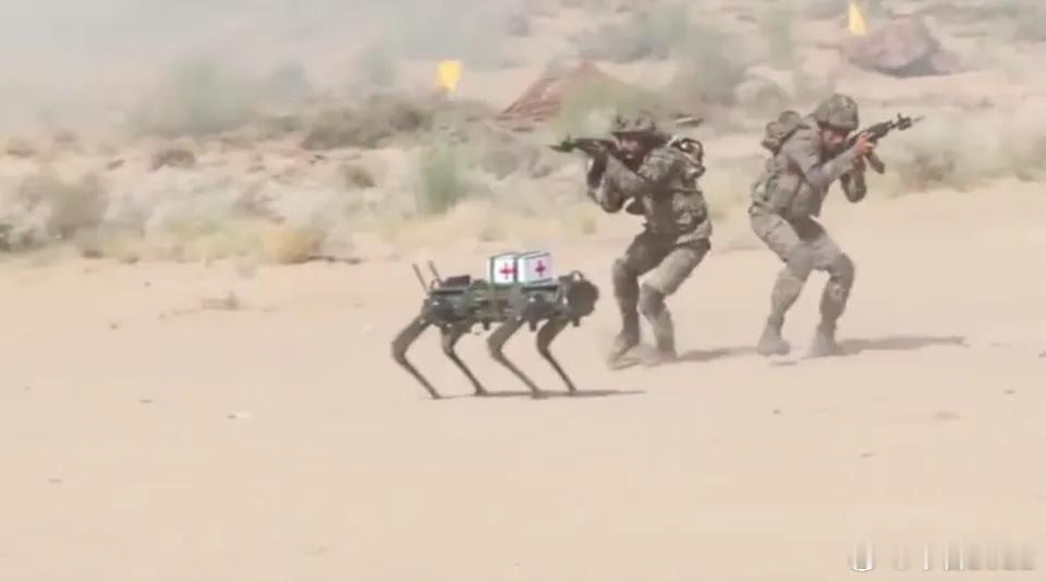 阿三全靠演技11月12日，印度陆军在拉贾斯坦邦举行了一场军事演习。演习中演示用机