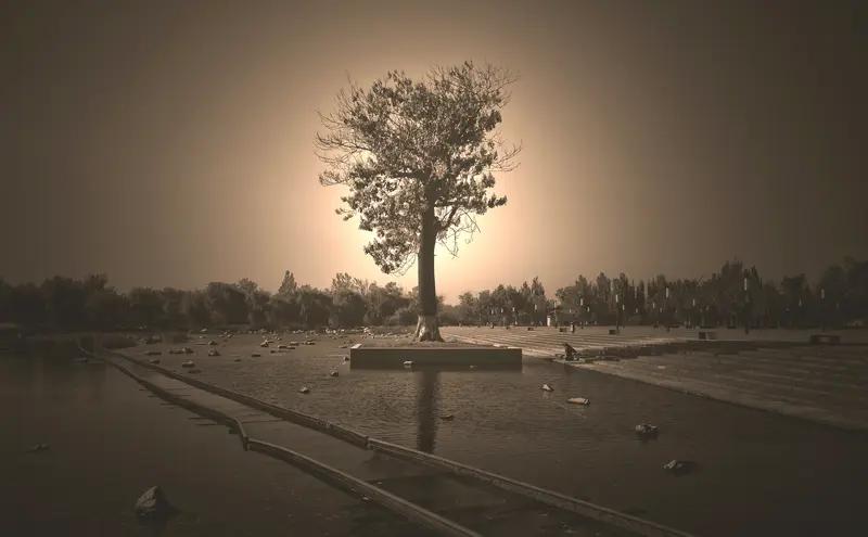 在面对生命无常时,你有何感悟?生命无常，在经历世事变迁后才更有体会。年轻时，总