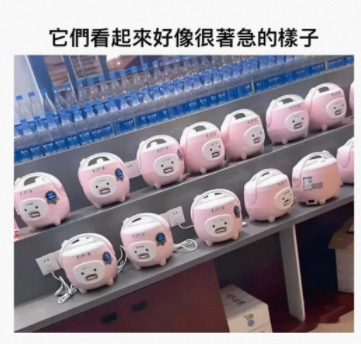 请用一张图证明你养了猫