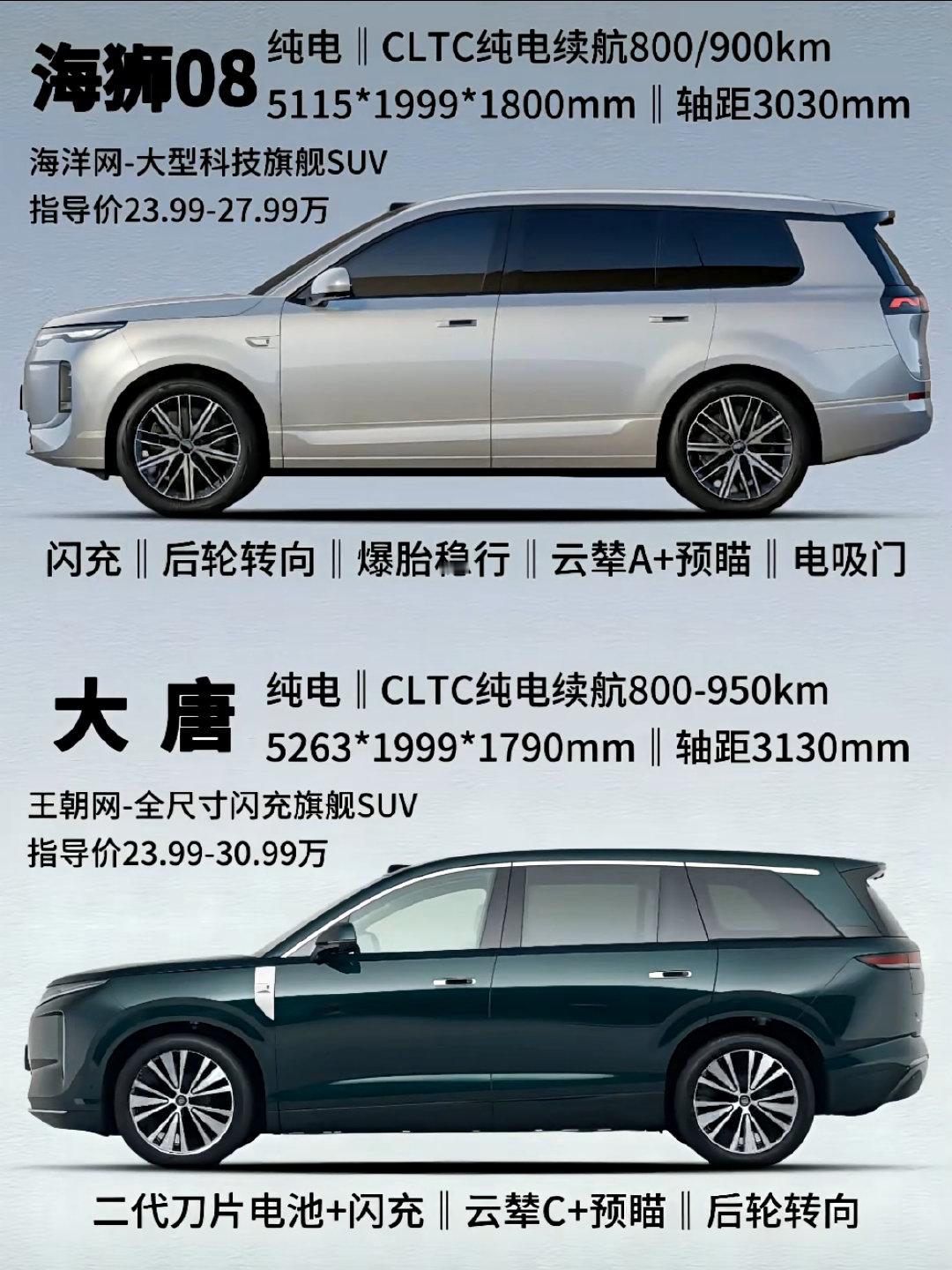 比亚迪推出大唐后，又推出了海狮08，对于一般家庭而言，这样的大型SUV，可以满足大多数需求了。这两种