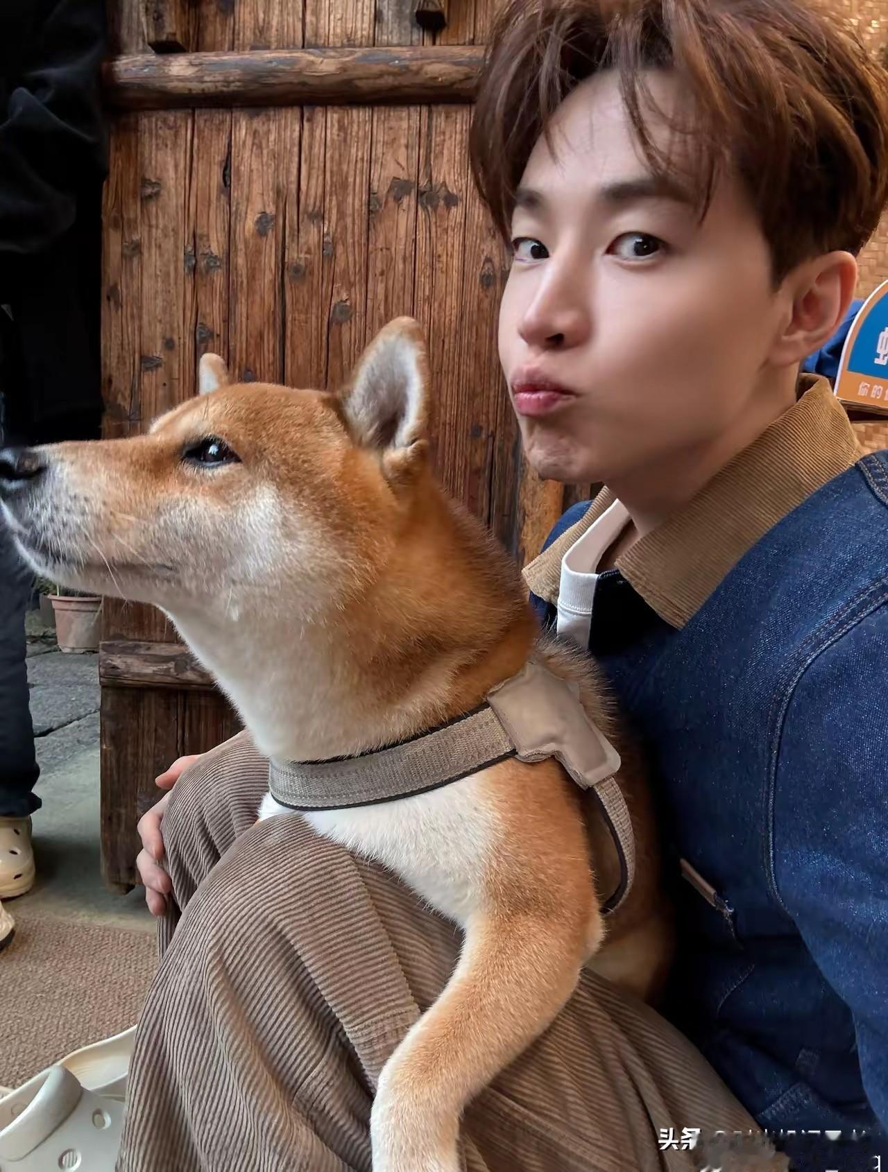 刘宪华的幸运就是参加了《向往的生活》，要不然真的很少有人认识他。刘宪华乖萌可