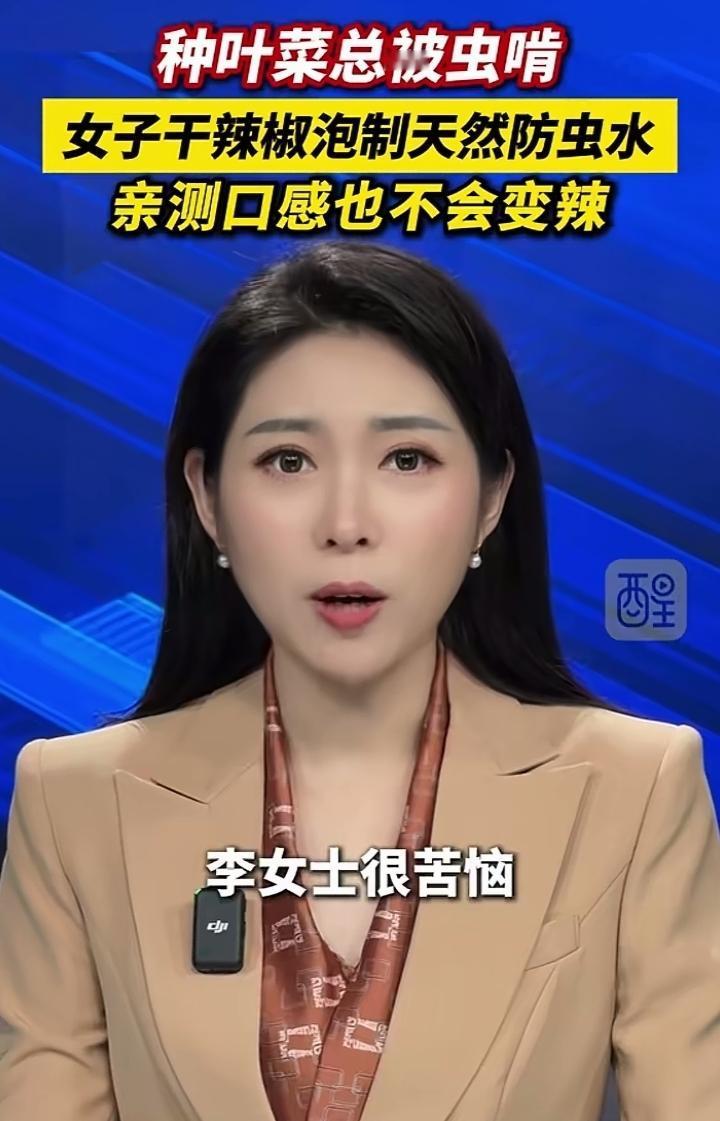 这也算是一个非常新颖的招，石家庄的李女士非常苦恼，她种叶片蔬菜两年有余，每年都因