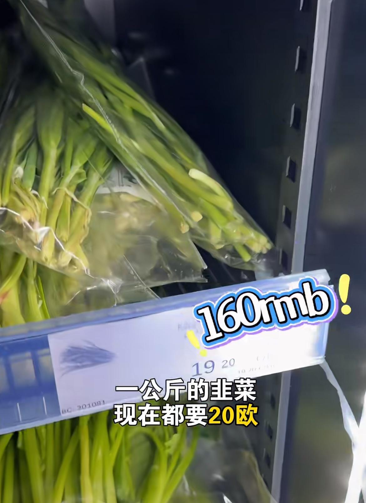 一公斤韭菜19欧，在芬兰能吃上韭菜饺子的都是大户人家吧