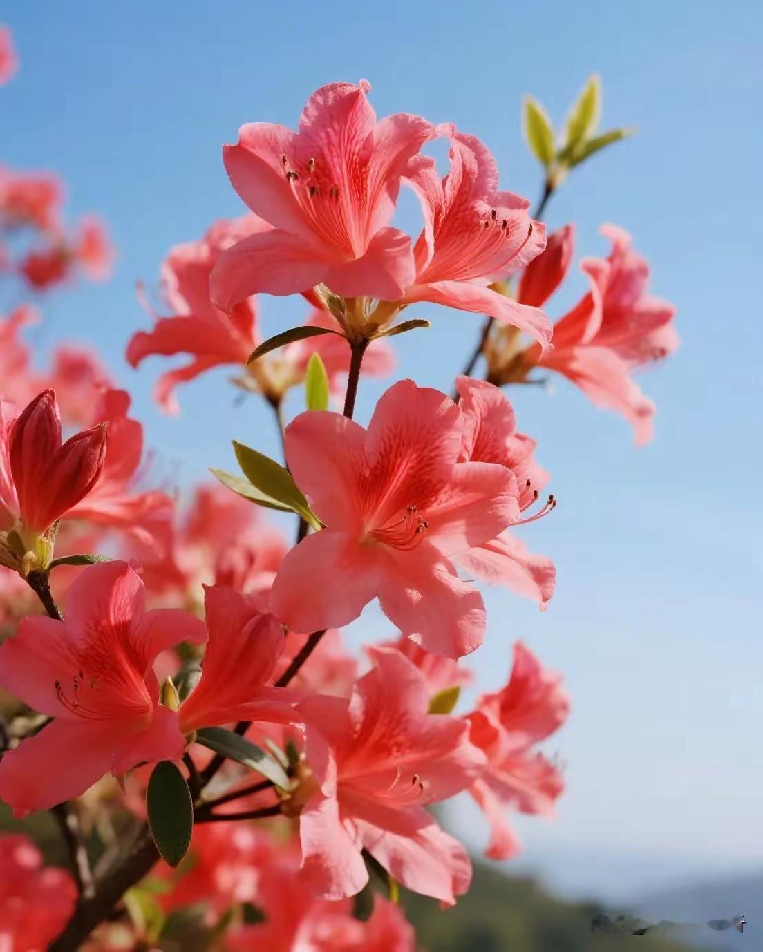 职场不耍小聪明，反而走得更远一、职场里，小聪明最害人很多人以为：偷