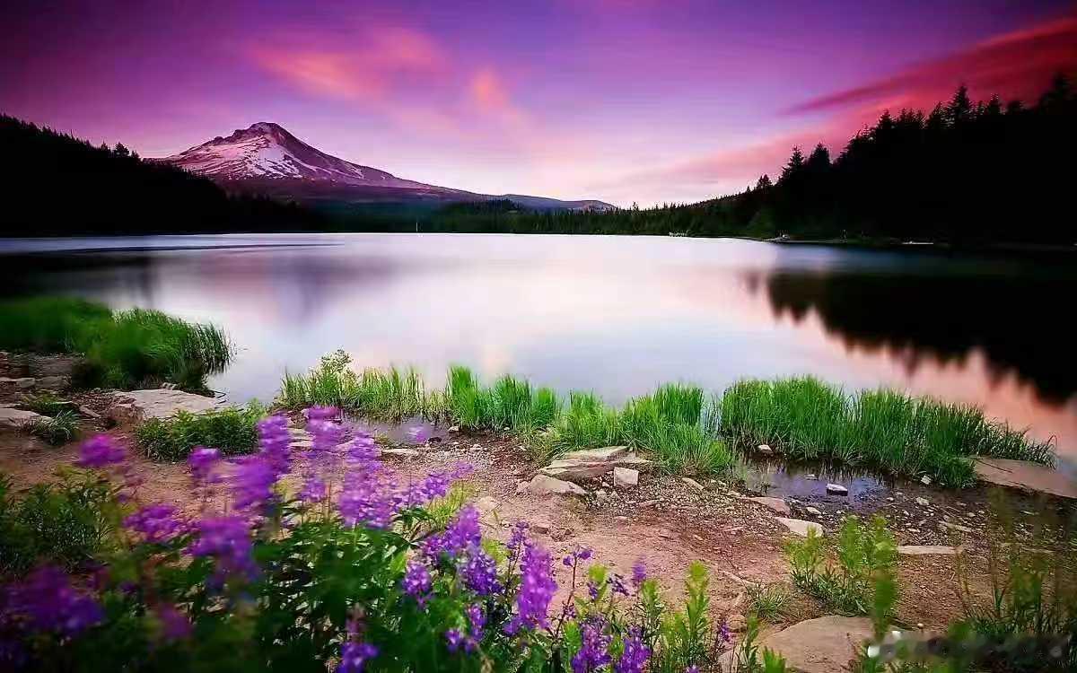 特斯拉自动驾驶技术认知度的社交媒体内容，核心是通过漏斗图呈现不同群体对其未来技术