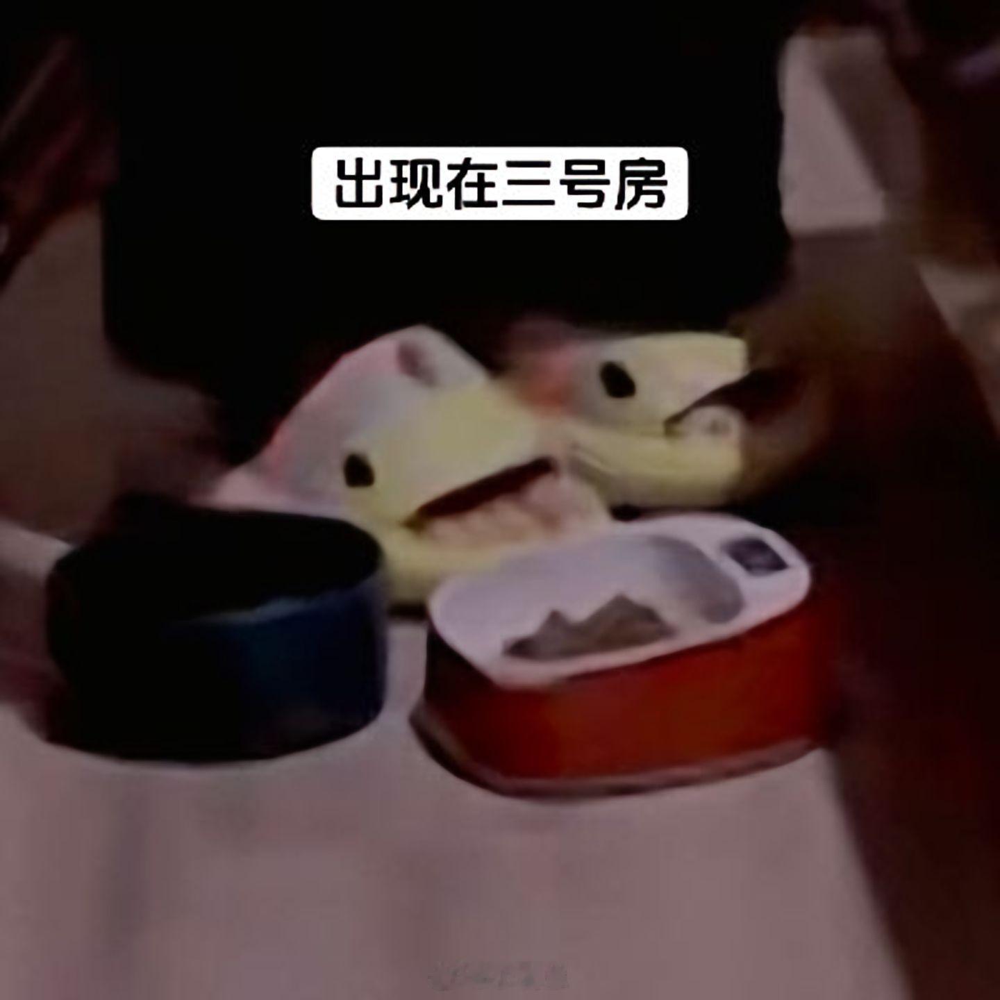 李昊利好到底有多少双鲨鱼拖鞋李昊｜​​​