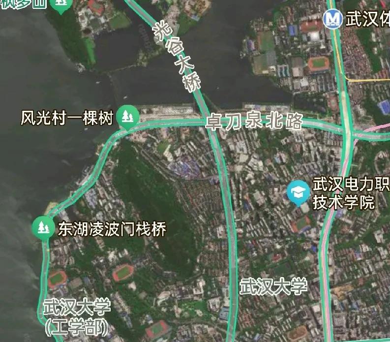 自称名校的大学，实际上不是培养了人才，更确切一点只是收集了人才。走进武汉大学，