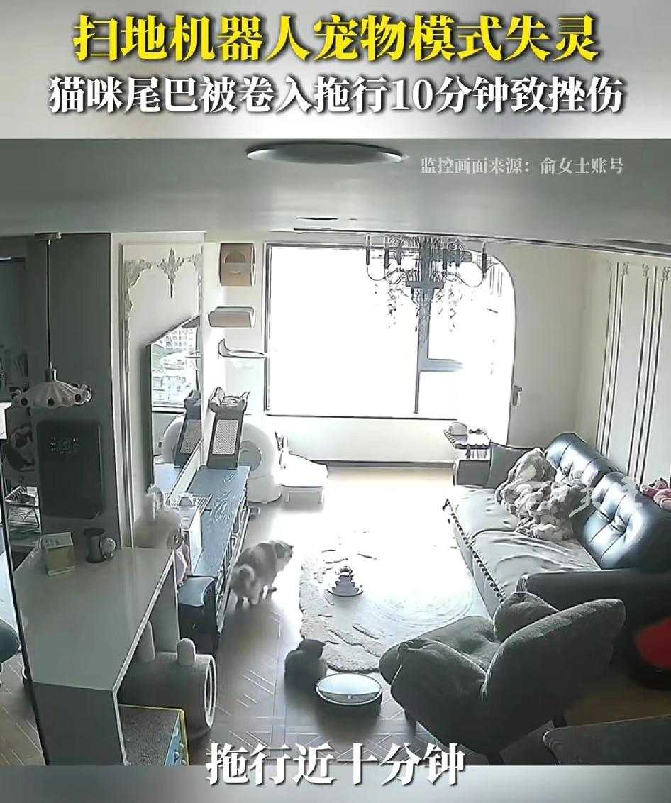 浙江一女子花4000多元买了一款宠物扫地机，在自己出门前开启了宠物友好模式，扫地