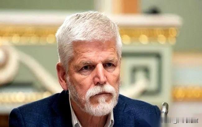 详情原文捷克总统帕维尔是个实在人，不说虚的。把自家仓库里快落灰的L-15