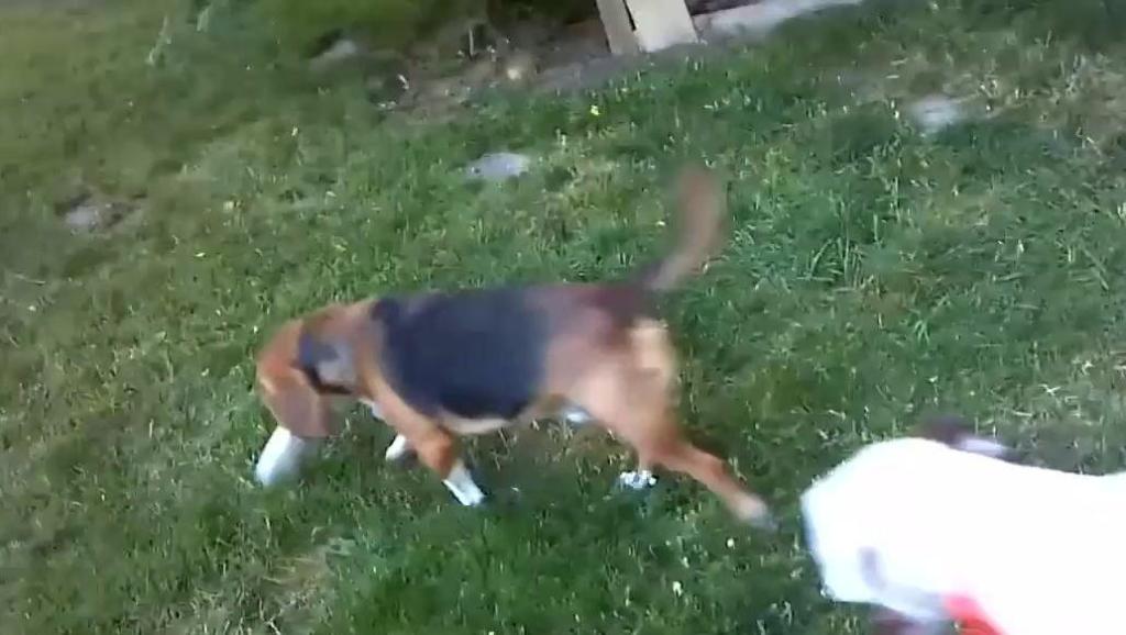 6058653709355826365.jpg?id=0