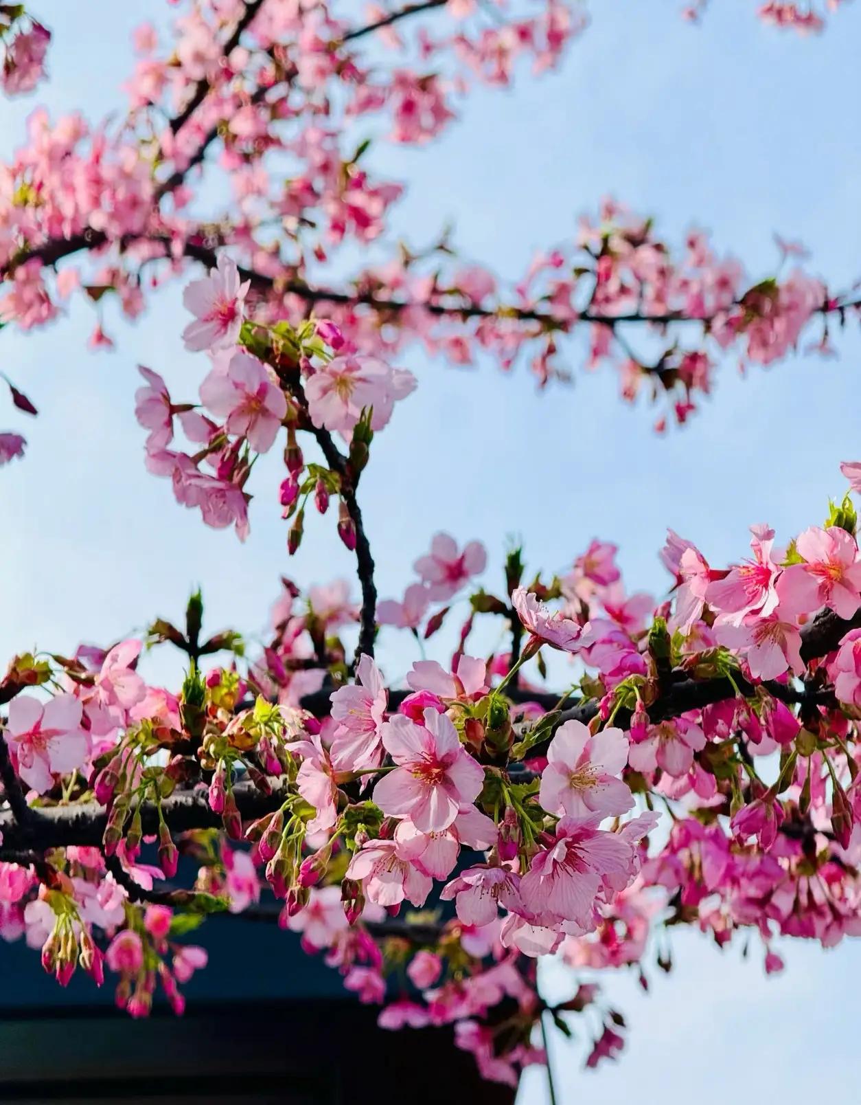 一段醍醐灌顶的话：“男女关系的核心，根本不是对女人好，而是利用人性。满足女人慕