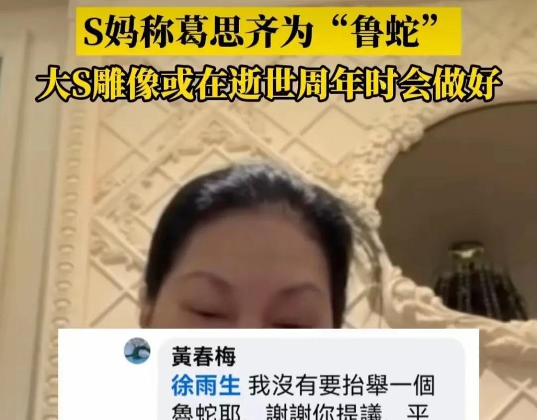 真不理解黄春梅有事养老不找光头天天纠缠前女婿干啥跟你女儿已经离婚了跟你家