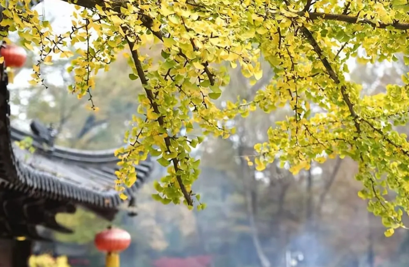 发现一个普遍现象，许多老同志还没办理完退休手续，便开始与原单位切割。不接受