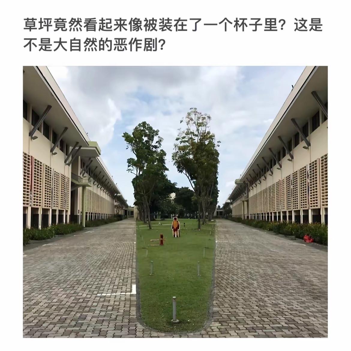 视觉效果上出现错觉😭🍎🍂
